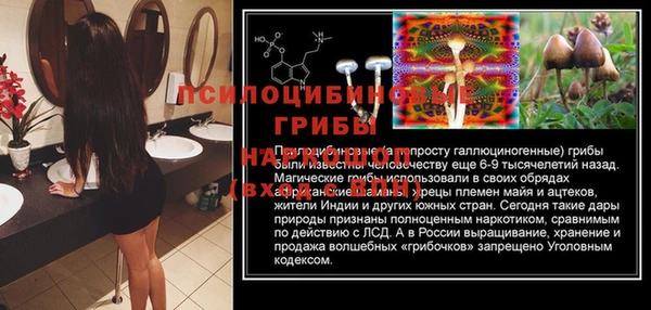 мдма Осинники
