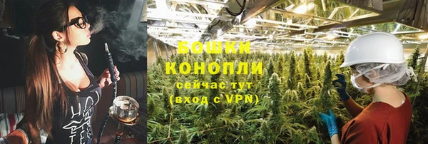 ГАЛЛЮЦИНОГЕННЫЕ ГРИБЫ Осташков
