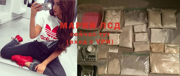 ГАЛЛЮЦИНОГЕННЫЕ ГРИБЫ Осташков